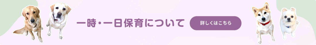 一時・一日保育について