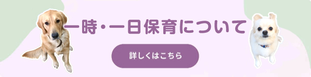 一日・一時保育について